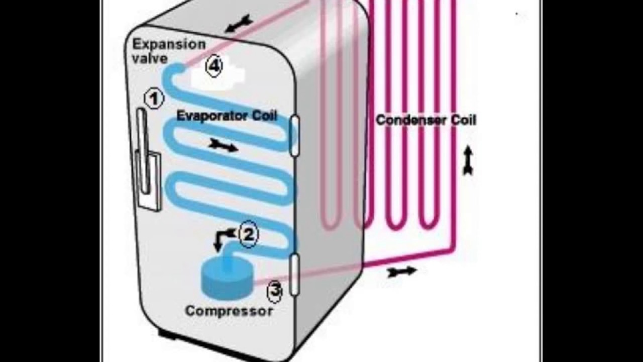 Kenapa Kulkas Tidak Boleh Di Bawa Miring Atau Ambruk Saat Di Bawa Youtube