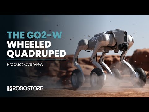 Unitree GO2-W Overview - The All-Terrain Quadruped Robot