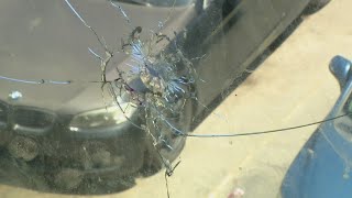 Apartments residents frustrated by management's handling of gun violence damage | 'No concern'