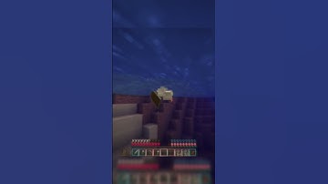 When The Server Host Disconnects