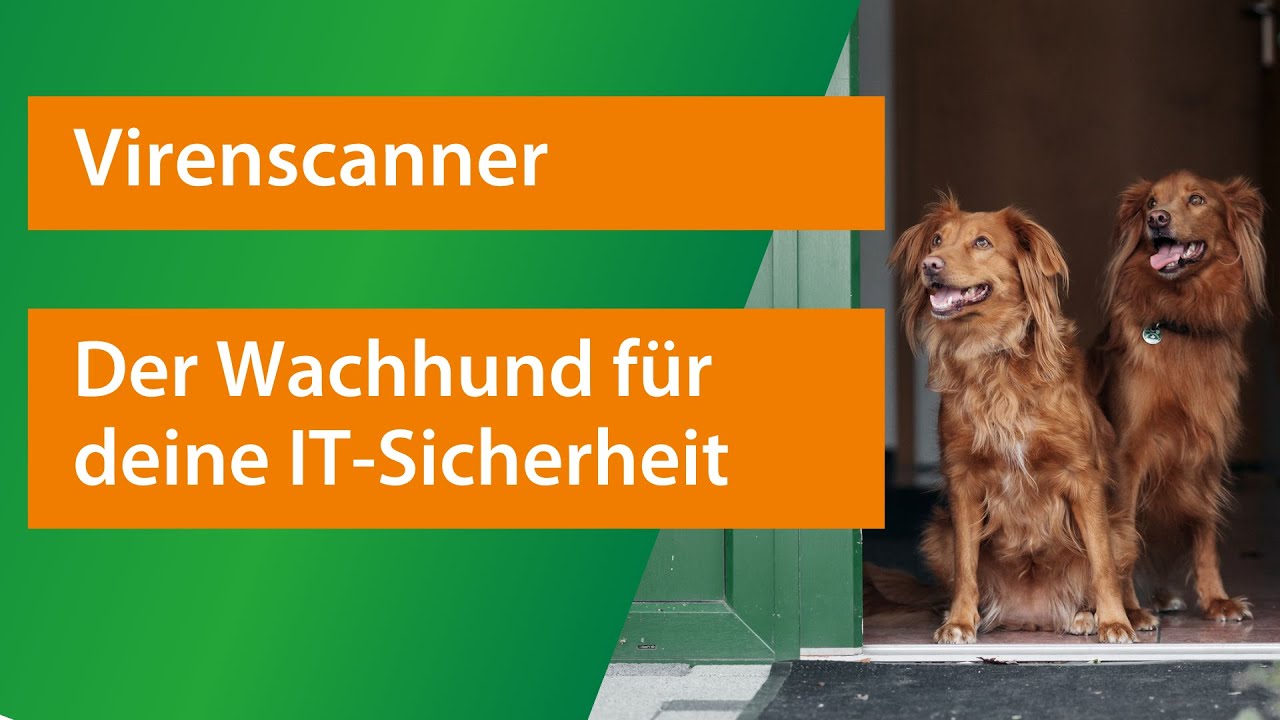 Virenscanner | Warum er unerlässlich für die IT-Sicherheit deines Unternehmens ist.