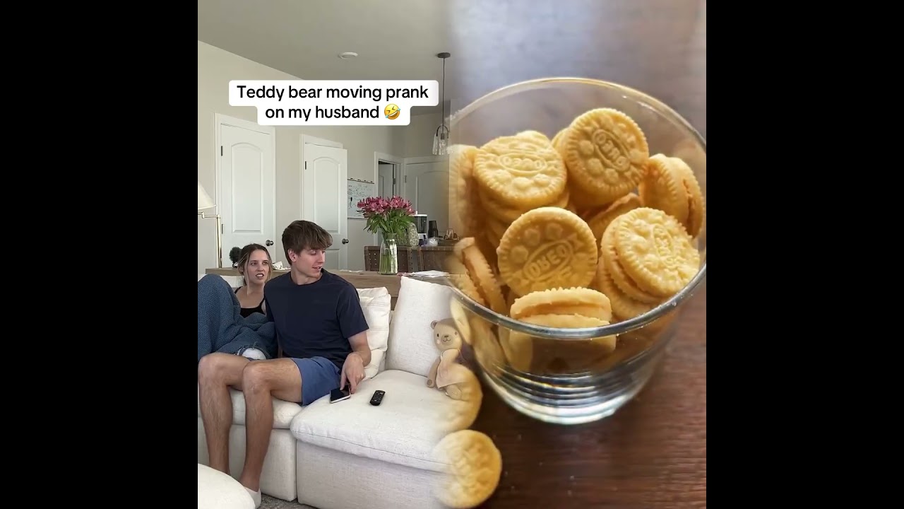 Как же двигался плюшевый мишка? 🤔 