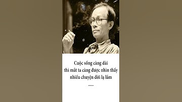 Những câu nói sống mãi với thời gian của nhạc sĩ Trịnh Công Sơn - #Shorts