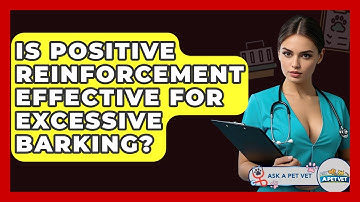 Is Positive Reinforcement Effective For Excessive Barking? - Ask A Pet Vet