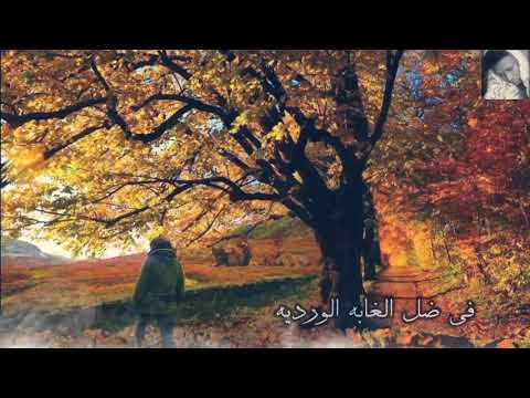 النور الجيلاني فيفيان حالات واتساب سودانية