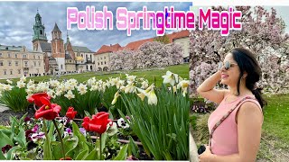 Vibrant Spring Blossoms in poland | Easter Market| Wawel Royal Castel |Krakow 2024