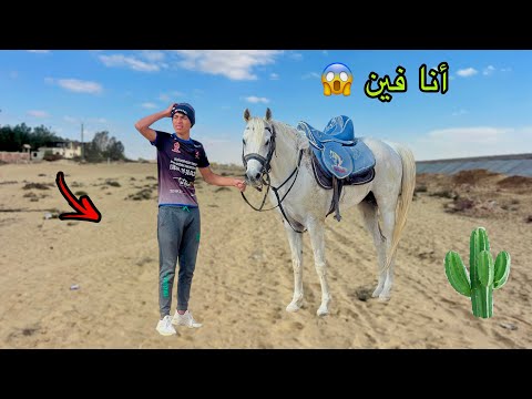 لما اخوك الصغير يركب خيل في رمضان ويتوه في الصحراء علاء حسين 