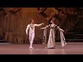Tchaikovsky Swan Lake Bolshoi Ballet
