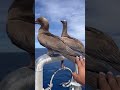 #seaview #reelsvideo #everyone #youtubeshorts #fypシ゚viral
