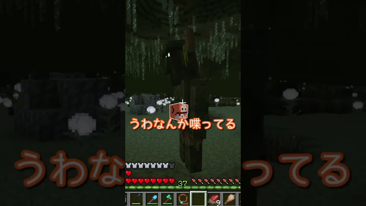 どっち？【マイクラ】