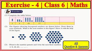 Exercise 4 | Class 6 | Chapter 4 Patterns | Maths | std 6  Exercise 4 | Maharashtra Board