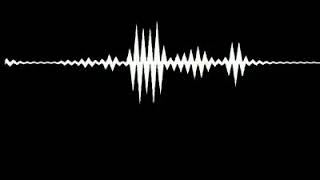Kobe Bryant helicopter voice audio before the crush