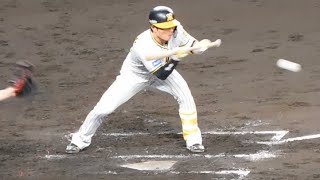 野球の教科書に載せたい北條の完璧な送りバント