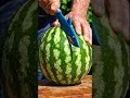 Amazing Shark #Knife Cuts Giant #Watermelon 🍉🦈 #FruitCutting #WatermelonCutting #Shorts #ViralShorts