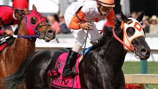 Oddsmaker Mike Battaglia's free expert picks for Wednesday's races at Keeneland