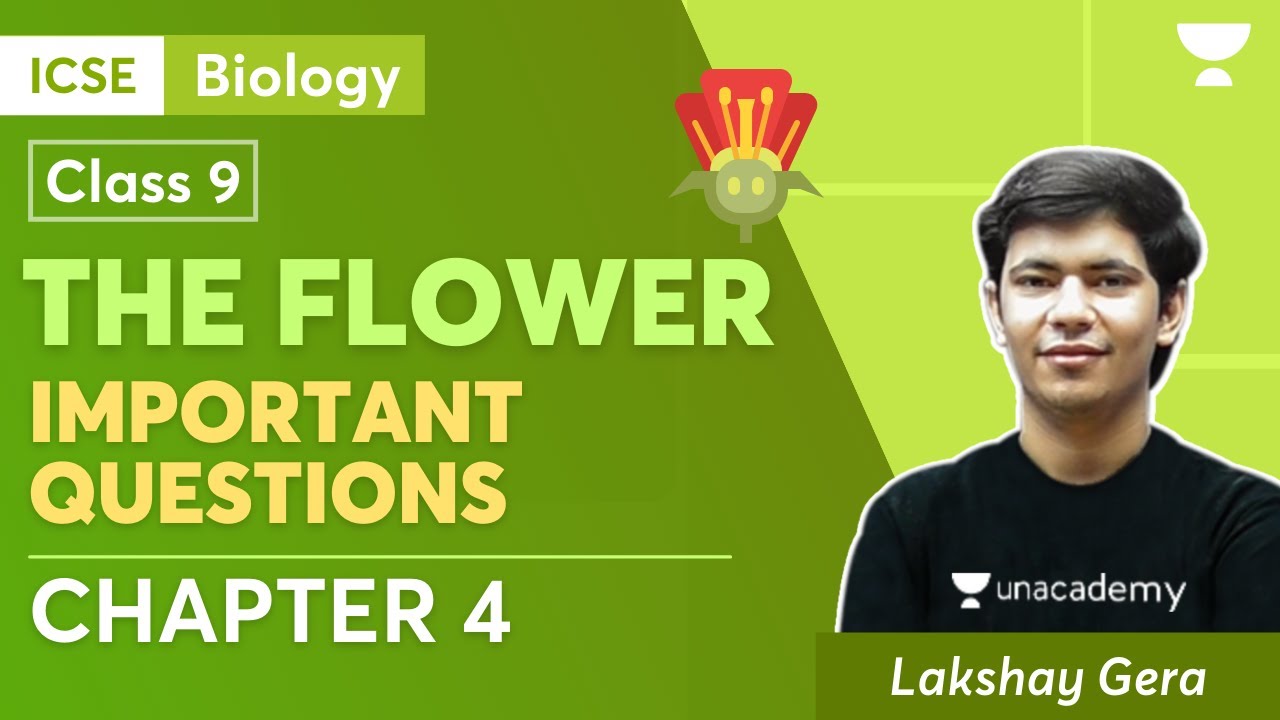 The Flower Important Questions ICSE Class 9 Biology Chapter 4