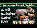 पढ़ाई करते हो तो इन सवाल का उत्तर दो |99%लोग फेल |General Knowledge|Bharat gk|India Gk|