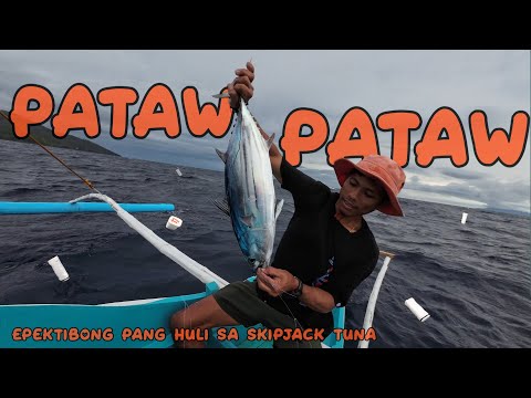 Mabisang Paraan sa Pag Huli ng Skipjack Tuna