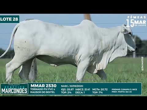 LOTE 28   MMAR 2530