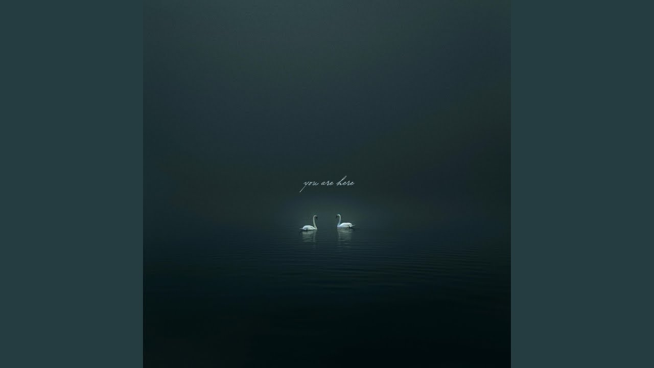 Obejrzyj SEM w YouTube Obejrzyj SEM w YouTube