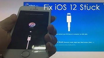 iPhone Stuck in Recovery Mode on iOS 13/12, Fix It with ReiBoot Pro