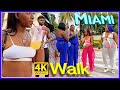 4k walk miami beach south beach slow tv travel vlogger usa