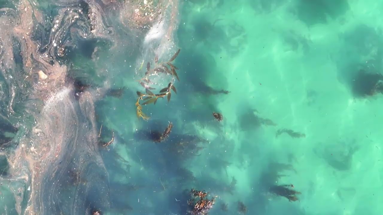 Thanksgiving in the 805