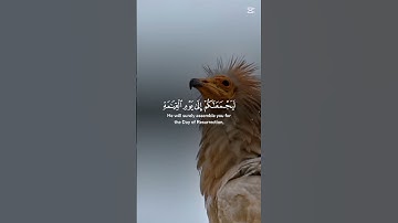 "قُل لِّمَن مَّا فِي السَّمَٰوَٰتِ وَٱلْأَرْضِ" هي الآية 12 من سورة الأنعام