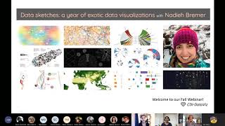 CDI Data Vizualization Webinar: Data Sketches: A year of exotic data visualizations w/ Nadieh Bremer Net Worth