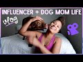 VLOG: a day in the life of an influencer + dog mom |