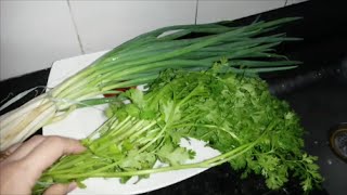 Como Congelar Salsinha e Cebolinha (Cheiro Verde) - ILIANA TOSIMA