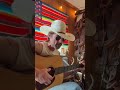 New Cantina Session: “On the Road Again” by Willie Nelson