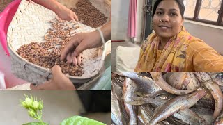 Mera Myka🏠 vlog 🥰 | Bihar ki grmi🌞 | my allrounder mom 🥰| Fish fry by mom🧑‍🍳 | sattu ki preparation😍