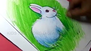 rabbit draw drawing step