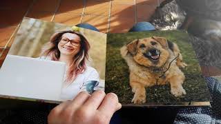 Mein Hund Geri Und Die Meerschweinchenfarm