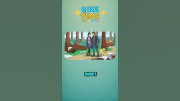 The Ultimate Brain Teaser: Can You Find the Rabbit and Guess the Number?