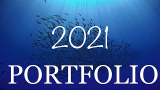 PORTFOLIO underwater 2021