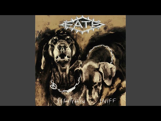 Fate - Won't Let You Down
