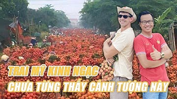 Trai Mỹ kinh ngạc khi khám phá Vải thiều nhuộm đỏ Lục Ngạn, Bắc Giang | BLV Tạ Biên Cương