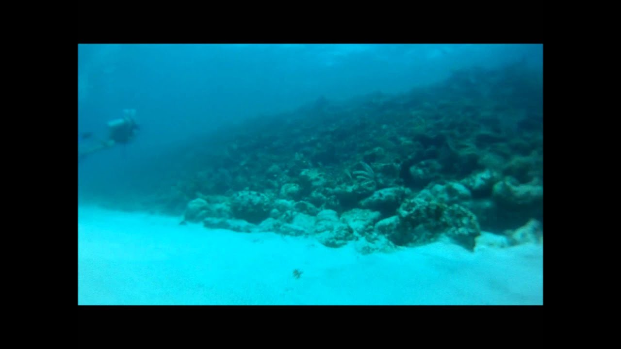 Scuba Diving at Puerto Morelos Q.Roo