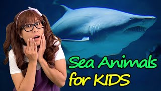 Sea Animals | Educational Video for Kids