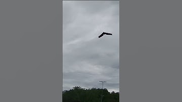 RC Flight Log: Zagi style scratch built foamy RC Airplane Low and Slow Flybys