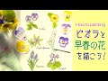 ビオラと早春の花の描き方　ペンで春先に咲く花6種類とビオラの水彩画／How to paint viola and early spring flowers