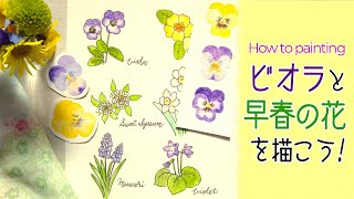 ビオラと早春の花の描き方　ペンで春先に咲く花6種類とビオラの水彩画／How to paint viola and early spring flowers