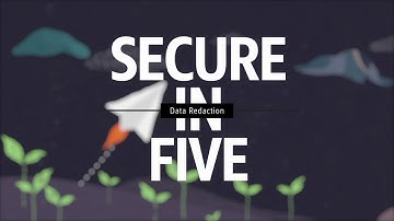 SECURE-IN-FIVE - Data Redaction