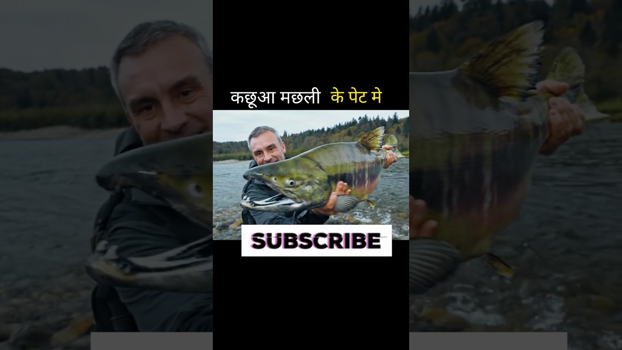 कछूआ मछली के पेट में 😱 #shortvideo #fishing #shortsfeed #facts #youtubeshorts #aivideo #ai