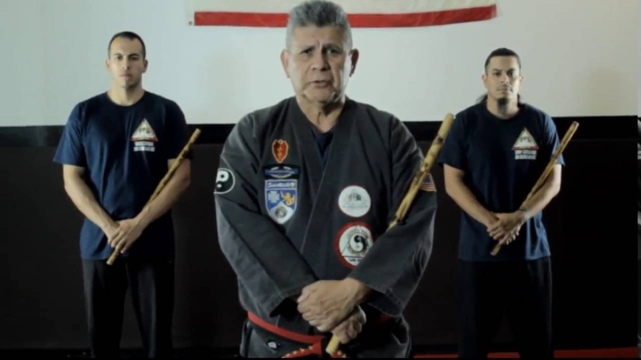 WFM Brazil World Federation Of Elite Martial Arts