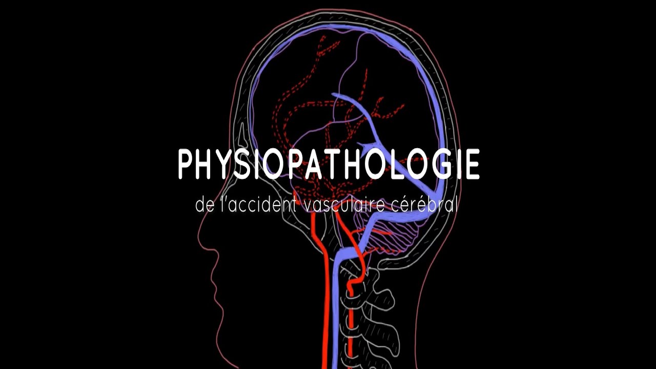 Cylindre Hydraulique Double Action Pour Modèles RC (pelle, Voiture) - Course Courte, Neuf, Universel