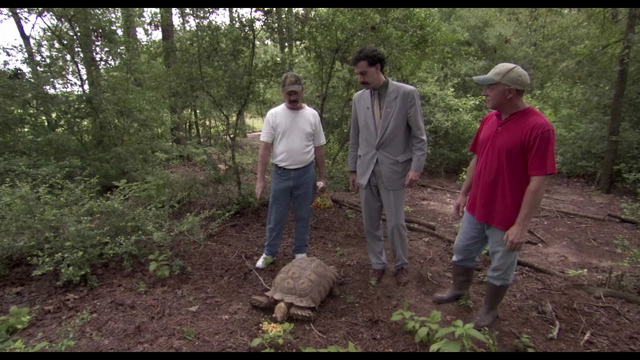 Борат (2006). Это какой вид пёсик? (8k).