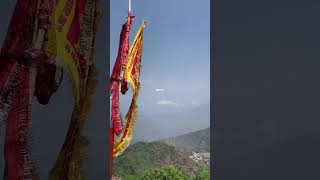 But Youll Waste All Your Money ?